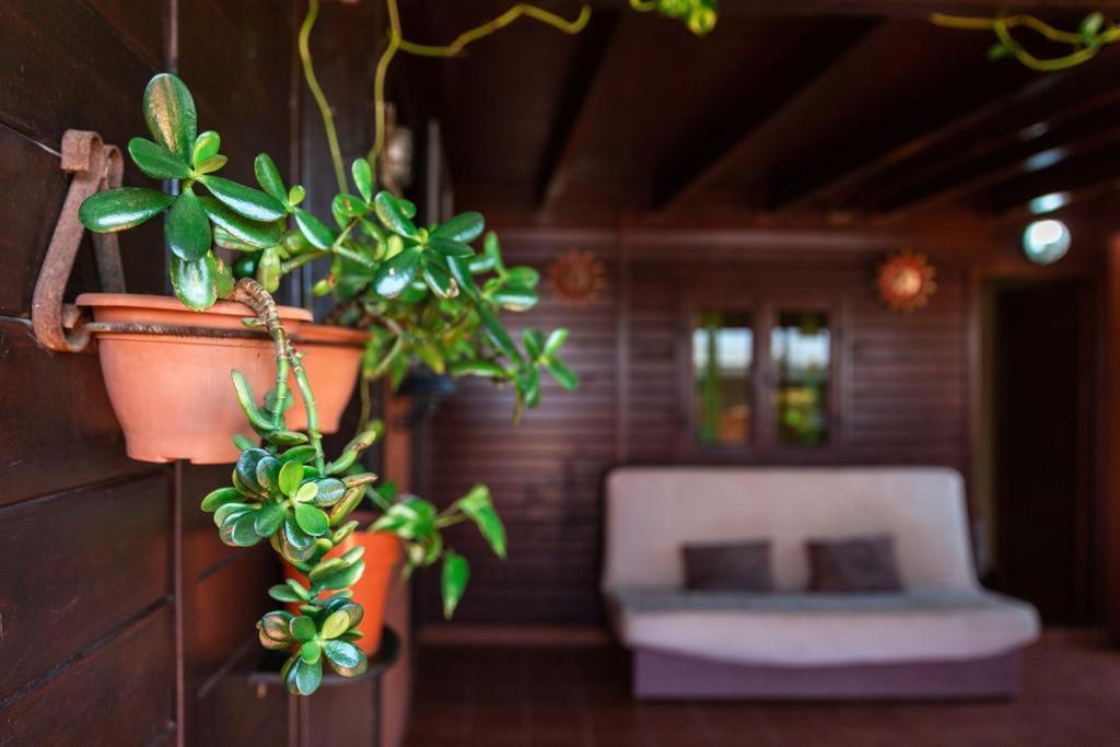Casa Orymar Apartment El Cotillo  Ngoại thất bức ảnh